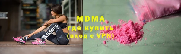 дживик Инта