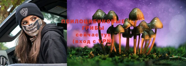 прущие крисы Зеленокумск