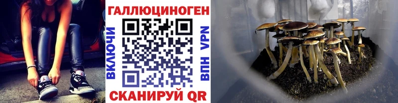 Псилоцибиновые грибы MAGIC MUSHROOMS  Купить закладки  Калач 